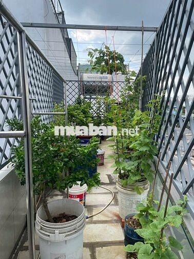 HOT! Cho thuê nhà nguyên căn mặt tiền 20met kinh doanh, văn phòng, Ở.