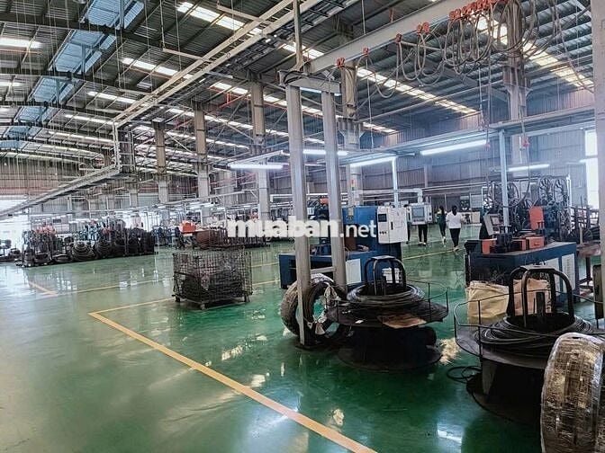 Cho thuê kho xưởng 1.000m² đường Tây Lân, Bình Tân 