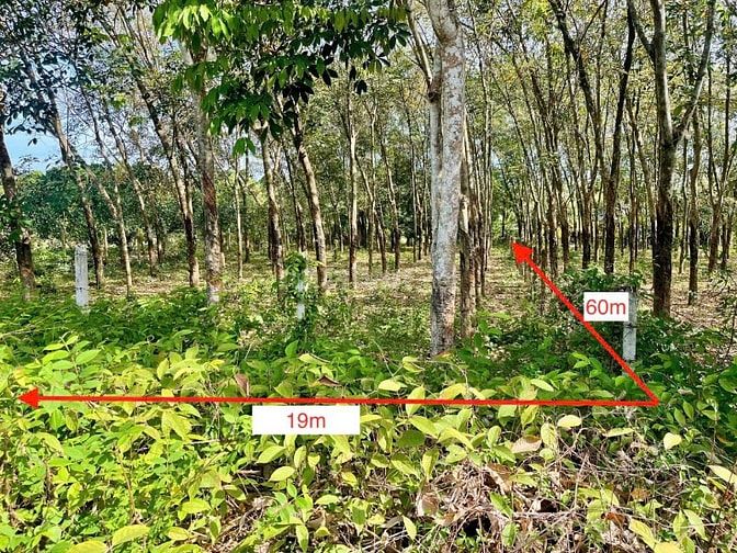 Đất bán xã Phú Mỹ Hừng đường Võ Thị Bàng 1149 ONT 105m2. Giá 4.5 tỷ