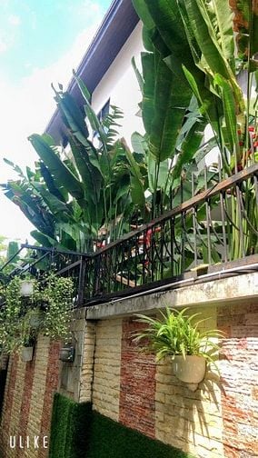 Cho thuê Biệt Thự Phú Mỹ Vạn Phát Hưng giá 50 triệu thích hợp cty