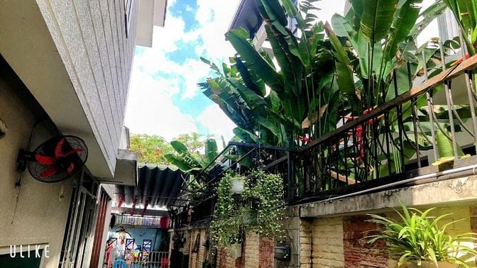 Cho thuê Biệt Thự Phú Mỹ Vạn Phát Hưng giá 50 triệu thích hợp cty