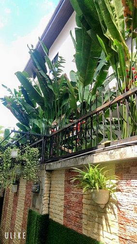 Cho thuê Biệt Thự Phú Mỹ Vạn Phát Hưng giá 50 triệu thích hợp cty