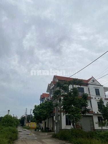 Cơ hội cuối cùng năm 2026 mua lô đất đấu giá đẹp rẻ,Tân Phú -Quốc Oai.