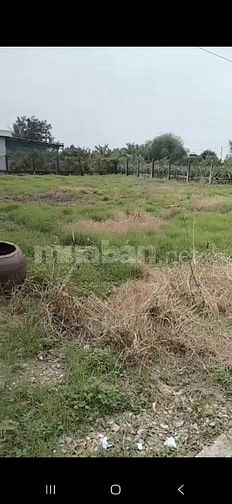 Bán 3,800m2 thổ + căn nhà 300m2, đường 5m, Hiệp Thạnh, C Thành Long An