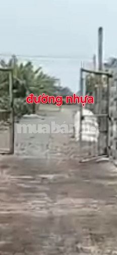 Bán 3,800m2 thổ + căn nhà 300m2, đường 5m, Hiệp Thạnh, C Thành Long An