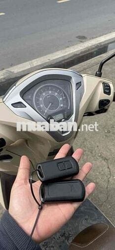 Honda Lead Vàng cát Xe tay ga