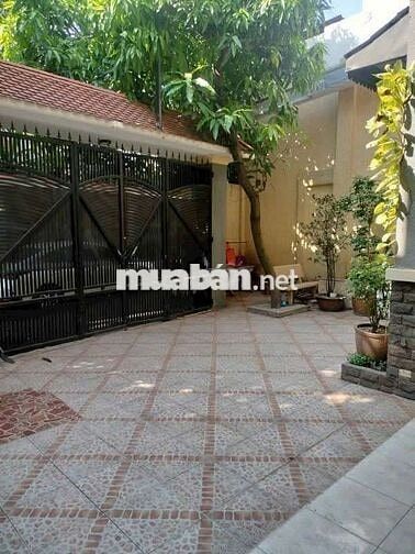 Hẻm Xe Hơi VIlla_BD.Túy_ DT 12×22_ 3 Tầng _ 8 Phòng_ Tiện Ở & VPCT& KD