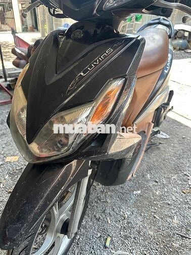 Yamaha Luvias Đen, Nâu đã sử dụng