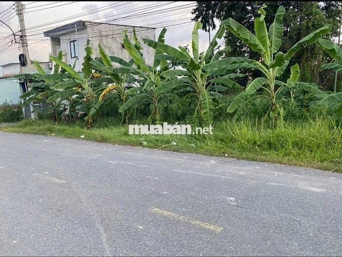 Bán đất đẹp gần chợ Bình Chánh , 170m2/790tr hợp đầu tư kinh doanh