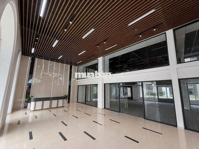 NHÀ MỚI MẶT TIỀN PHAN ĐĂNG LƯU, PN. DIỆN TÍCH 12X20M, HẦM 5 LẦU