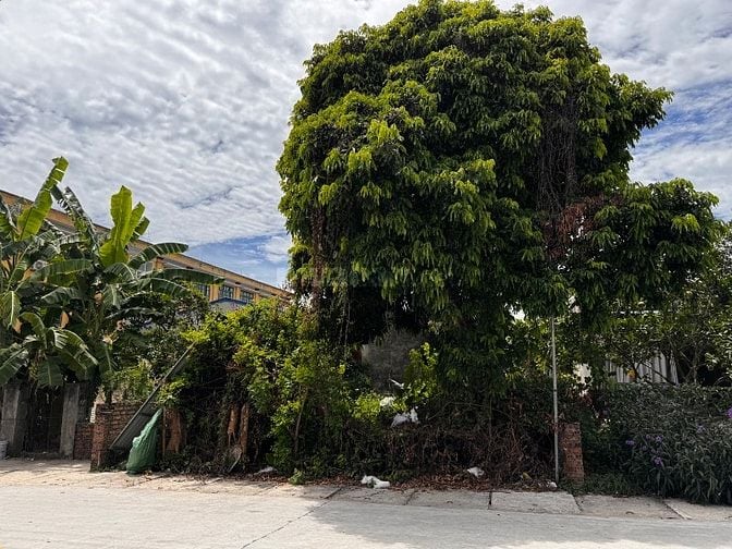 Bán lô đất tại Hoà Hậu, Lý Nhân