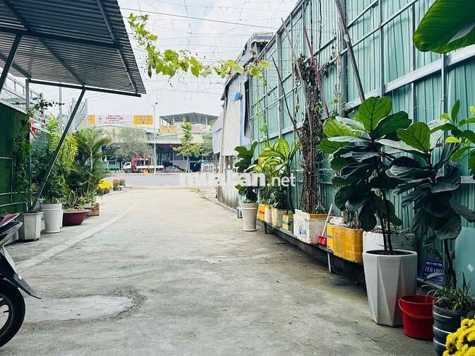cho thuê văn phòng MT Nguyễn Văn Linh - ngay cổng kcx Tân Thuận