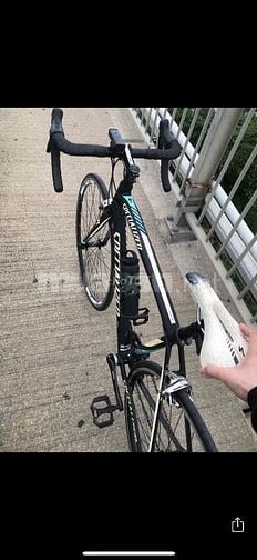 Xe đạp đua Specialized phuộc cArvin nhẹ xe