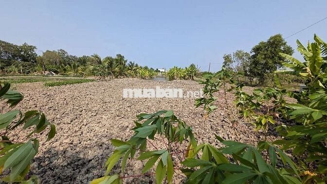 Mặt tiền nhựa 6 tấn 5 tỷ 1000m2 Hưng Long Bình Chánh 