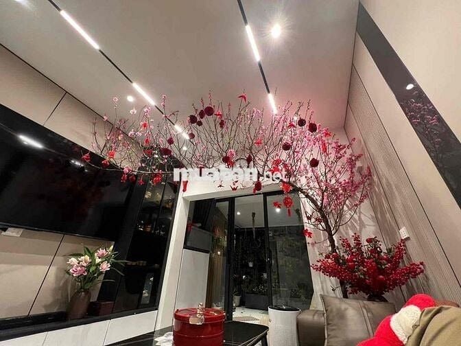 Siêu tập thể Nam Thành Công, duplex 2 tầng 3 ngủ 2wc, bancong, NT xịn