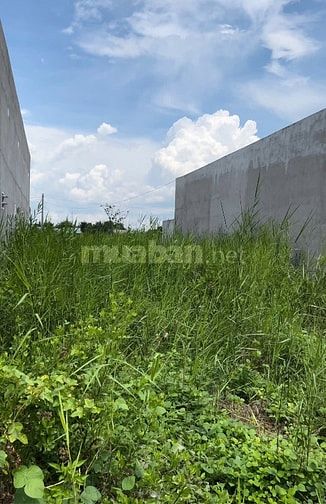 Đất nền xã long cang, huyện cần đước (15km)