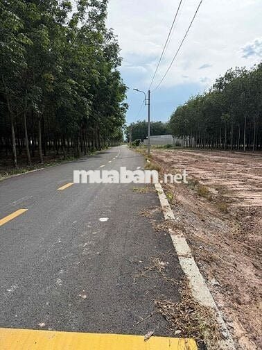 Chỉ từ 600 triệu sở hữu đất gần cụm KCN lớn