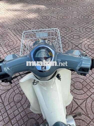 Honda Cub 50 2022 Xám trắng