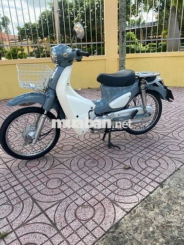 Honda Cub 50 2022 Xám trắng