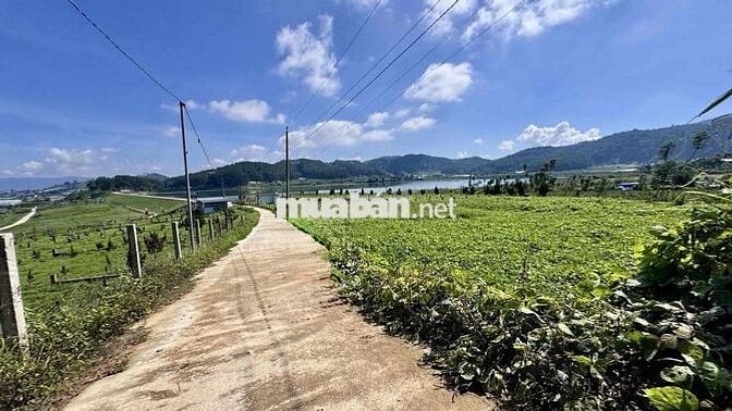 Đất nền chính chủ ngay đập Pró - Đơn Dương