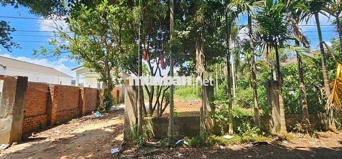 Bán 12x67 đường nhựa Buôn KomLeo