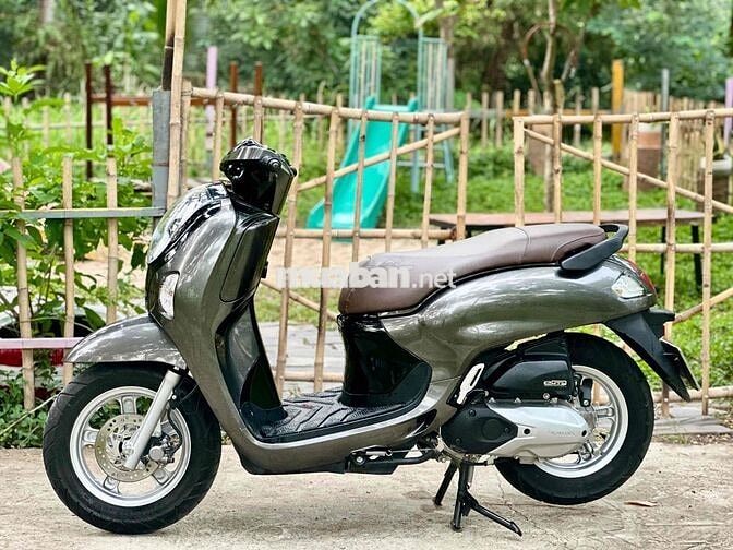 Honda Scoopy 2025 Xám