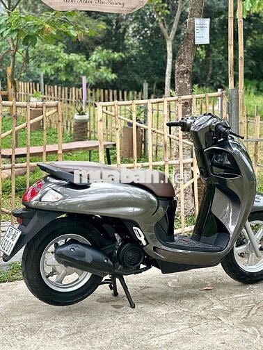 Honda Scoopy 2025 Xám