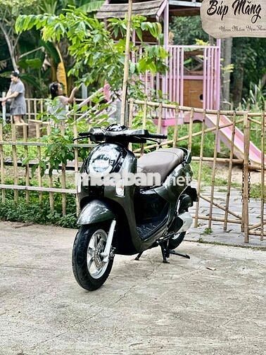Honda Scoopy 2025 Xám