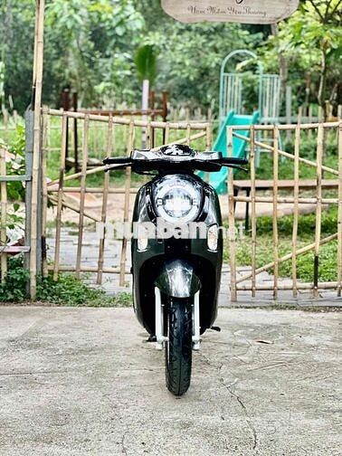 Honda Scoopy 2025 Xám