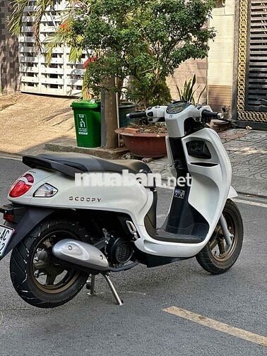 Honda Scoopy 2025 Trắng