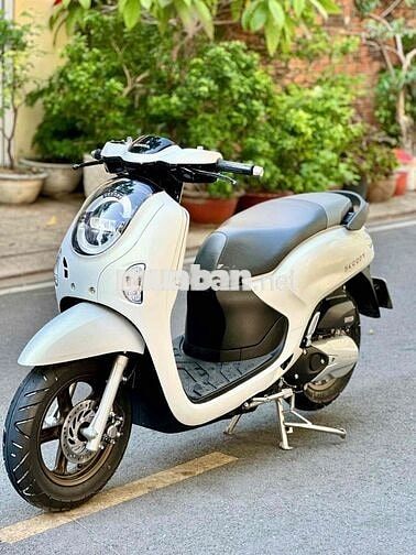 Honda Scoopy 2025 Trắng