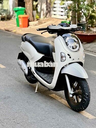 Honda Scoopy 2025 Trắng