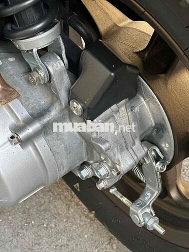 Honda Scoopy 2025 Trắng