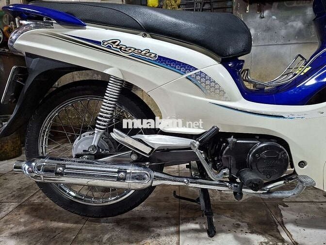 SYM Angela 50cc 2022 Trắng Xanh