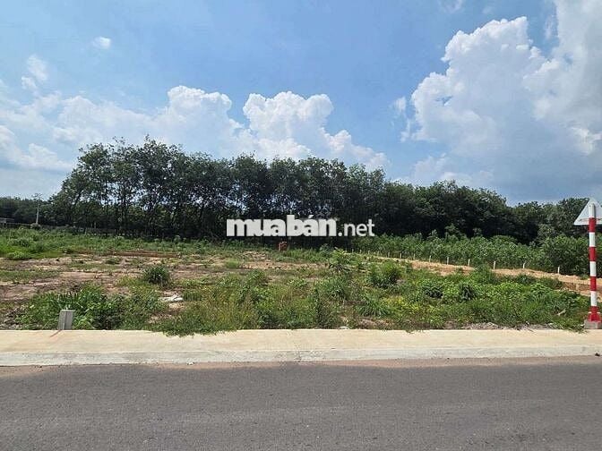 đất chánh phú hòa 5x60 mặt tiền nhựa lớn
