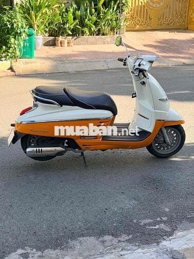 Peugeot Django 2017 Trắng Cam Châu Âu
