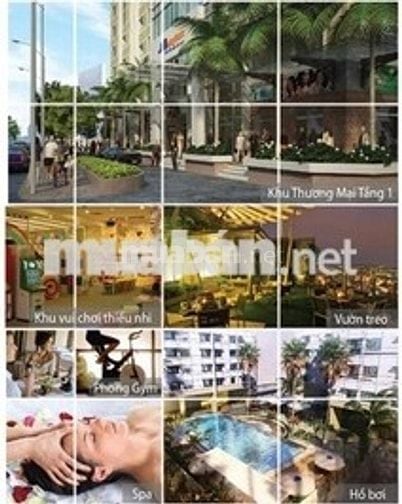 🏢 CHO THUÊ SHOPHOUSE MELODY RESIDENCES – VỊ TRÍ KINH DOANH ĐẸP