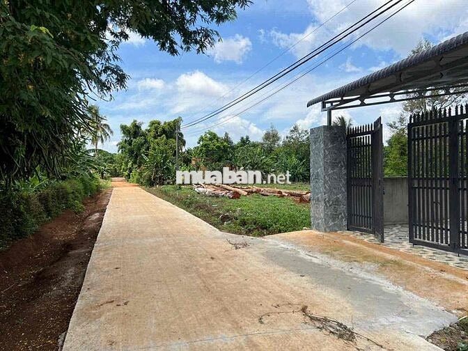 giá bán nhanh trong tháng lô đất ở siêu đẹp