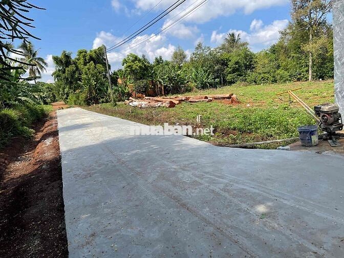 giá bán nhanh trong tháng lô đất ở siêu đẹp