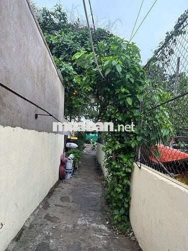 Bán nhà Quốc lộ 13, Hiệp Bình Phước 98m² có 4 phòng trọ giá 4 tỷ
