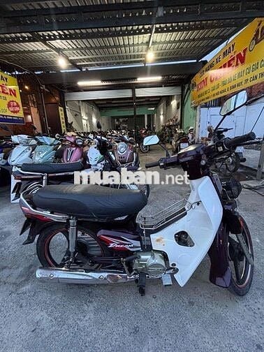 Honda Dream Super Trắng Tím Hàn Quốc