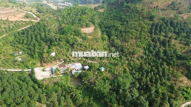 Bán đất nghỉ dưỡng view đẹp tại Khánh Hòa - Hoa hồng cho môi giới: 2%