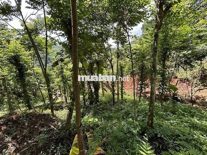 Bán đất nghỉ dưỡng view đẹp tại Khánh Hòa - Hoa hồng cho môi giới: 2%