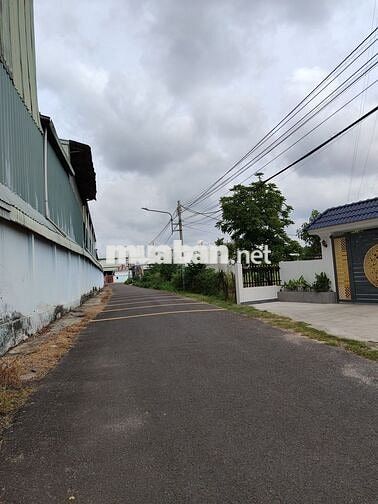 Bán đất đường Thới Hòa 18, DT: 2181m, thổ cư 100m
