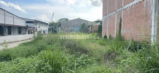 📢 BÁN ĐẤT CỦ CHI – GIÁ TỐT CHỈ 5,2 TỶ (THƯƠNG LƯỢNG NHẸ)