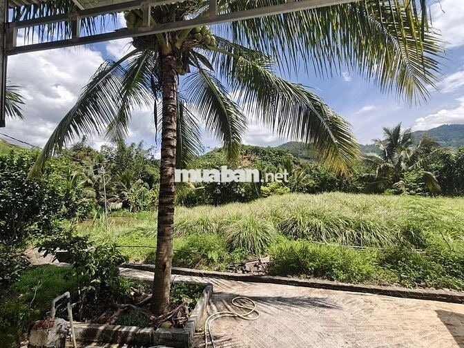 Bán đất nghỉ dưỡng view đẹp tại Khánh Hòa - Hoa hồng cho môi giới: 2%