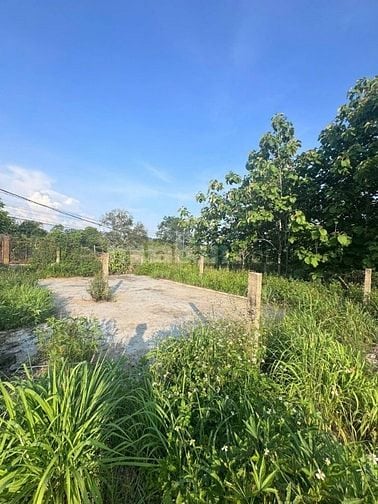 ĐẤT THỔ CƯ ĐỊNH QUÁN 6m x 22m chỉ 290 Triệu/nền 