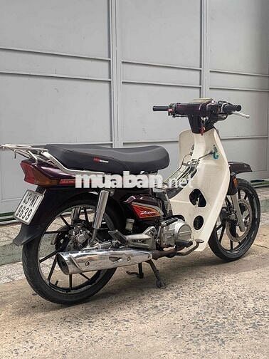 Honda Dream Trắng, Đỏ mận Số sàn