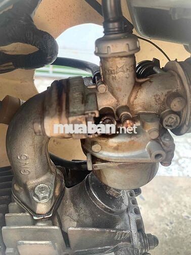Honda Dream Trắng, Đỏ mận Số sàn