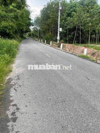 Ngộp ngân hàng bán gấp 18M mặt tiền nhựa Long Nguyên tại Bàu Bàng